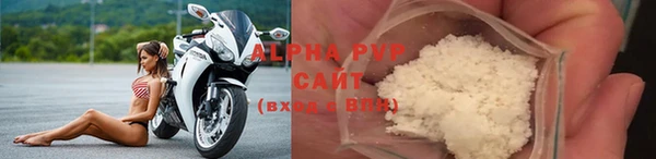 амф Пестово