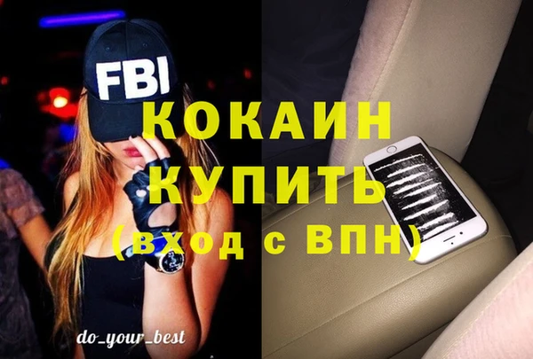 амф Пестово