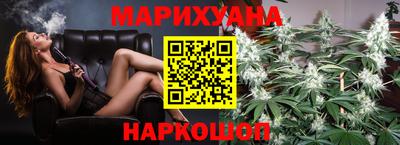 крисы Гатчина