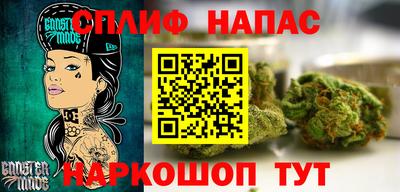 прущие грибы Волгодонск