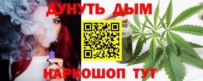 крисы Гатчина