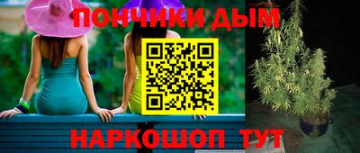 spice Гагарин