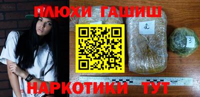 прущие грибы Волгодонск
