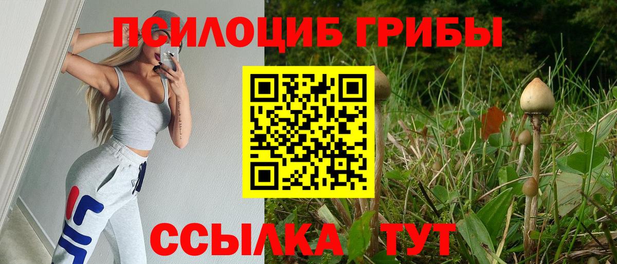 Алексин  Псилоцибиновые грибы ЛСД  Вход с VPN  Псилоцибиновые грибы Cubensis 