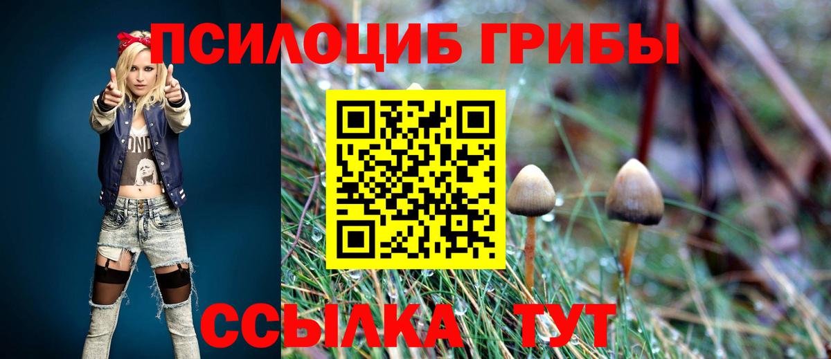 Алексин  Псилоцибиновые грибы мухоморы  Вход с VPN 