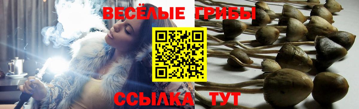 Галлюциногенные грибы Magic Shrooms Алексин