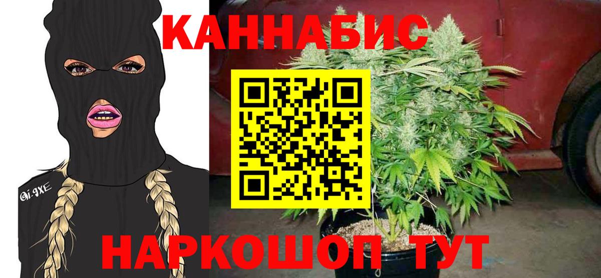 Конопля марихуана  Вход с VPN  Алексин  Канабис Bruce Banner  Конопля Amnesia  МАРИХУАНА гибрид 